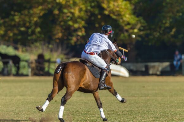 Sport a cavallo