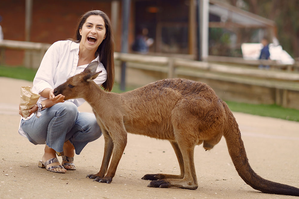 quarto anno scolastico in australia